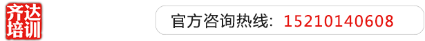 www.caosaoyinbi齐达艺考文化课-艺术生文化课,艺术类文化课,艺考生文化课logo